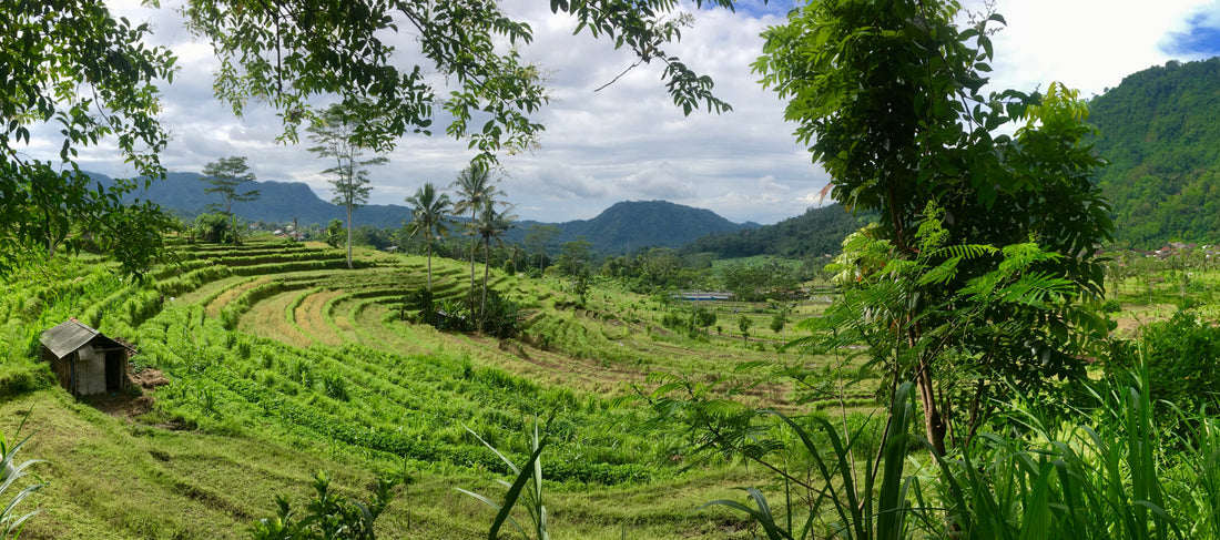 Roadtrip sur l'île des Dieux | Bali