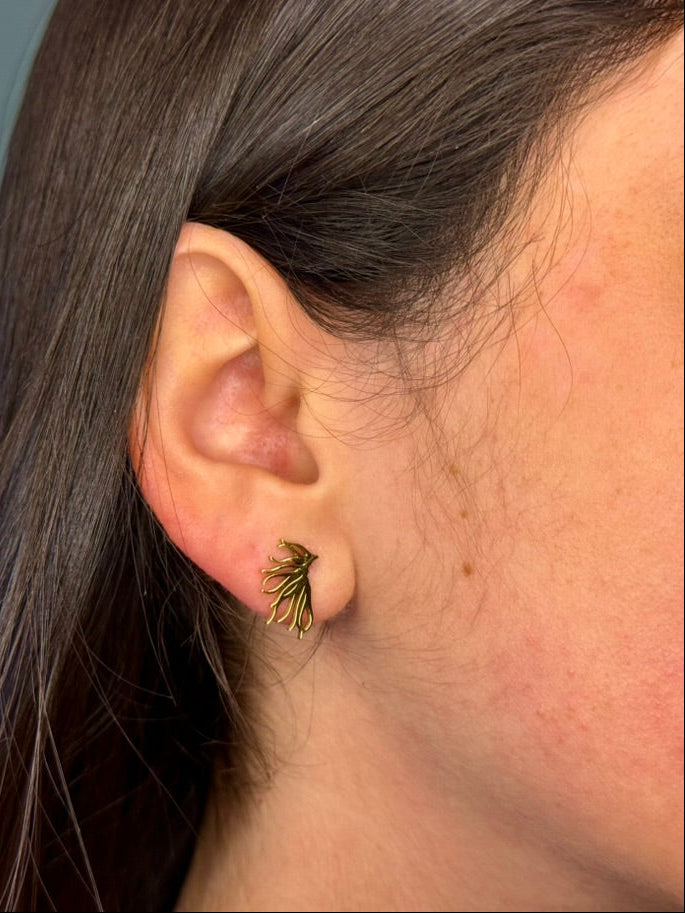Boucles Néréide