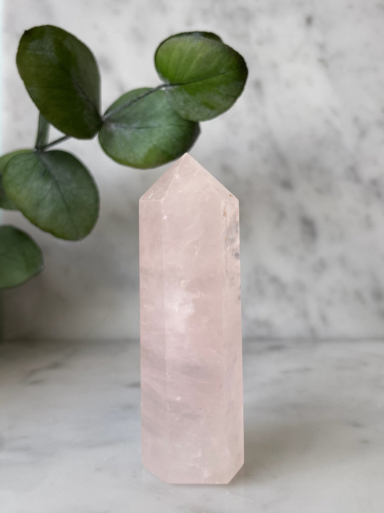 Quartz Rose obélisque - Jolly Jungle 